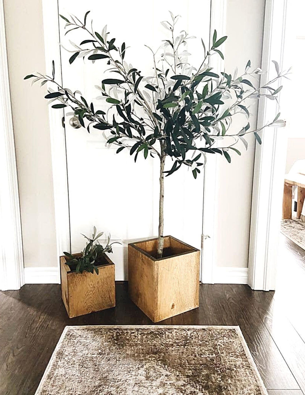 Modern Box Planter